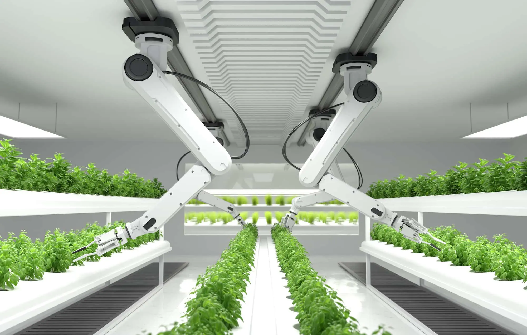An aerial view of The Sustainable City