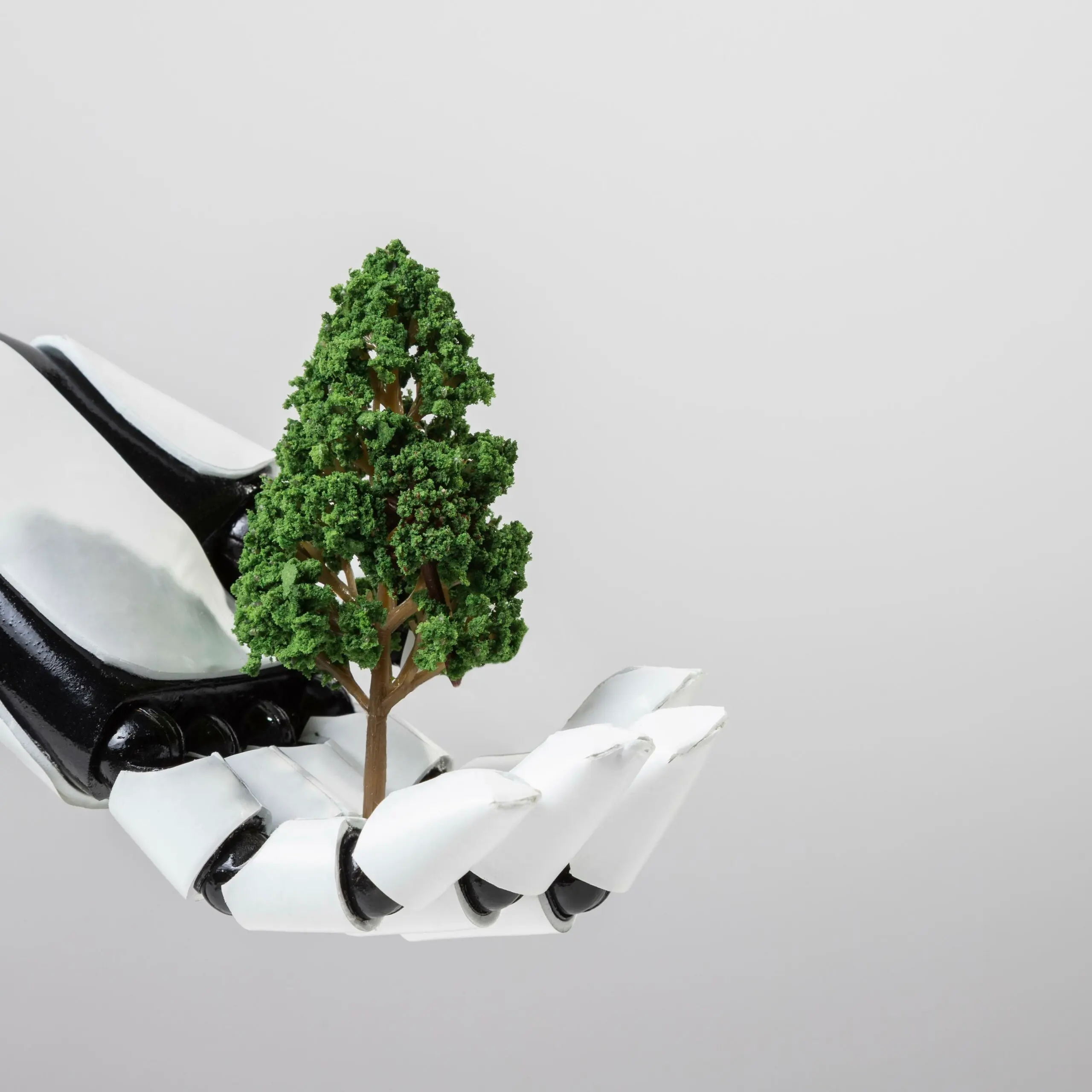 An environmental education session
