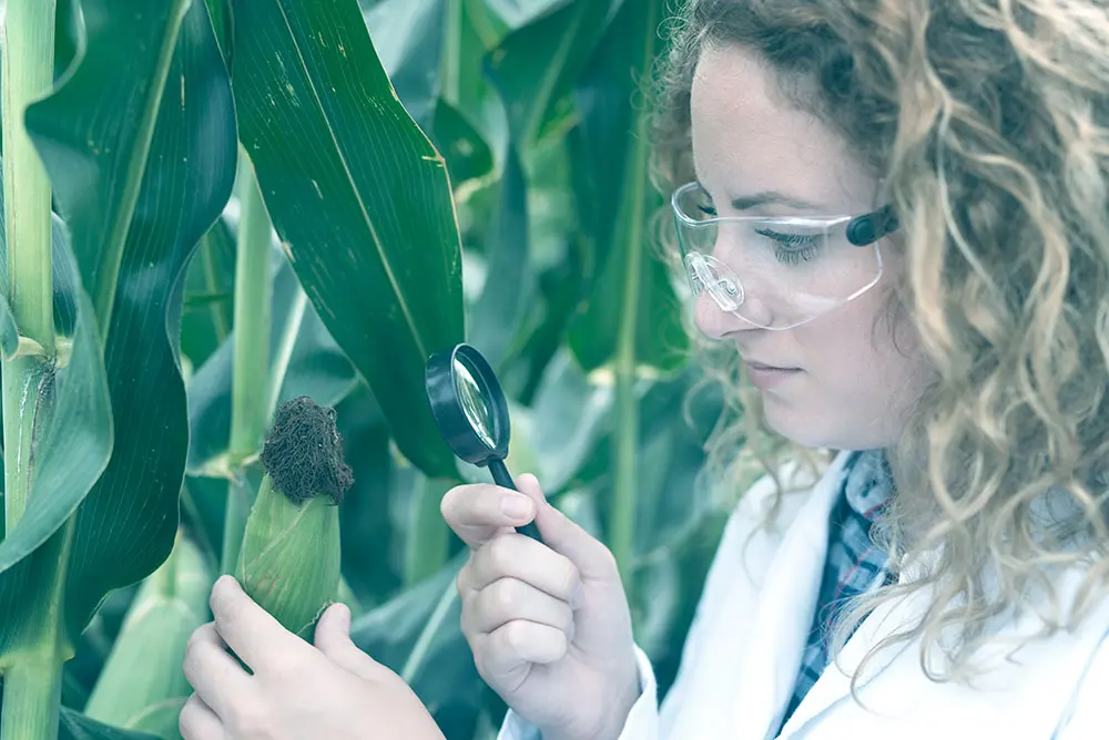 A startup testing a prototype in the living lab