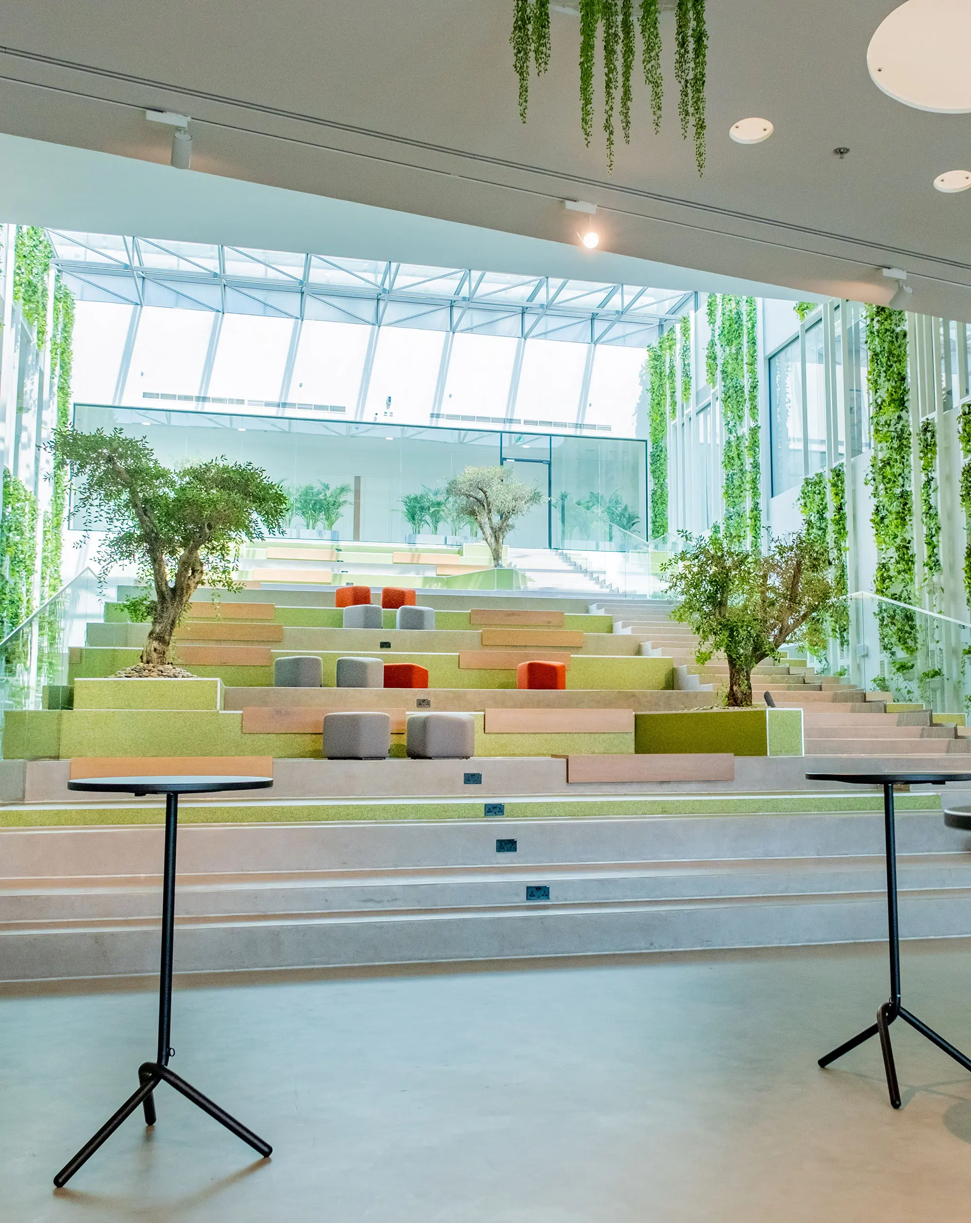 The social steps inside the SEE Institute building